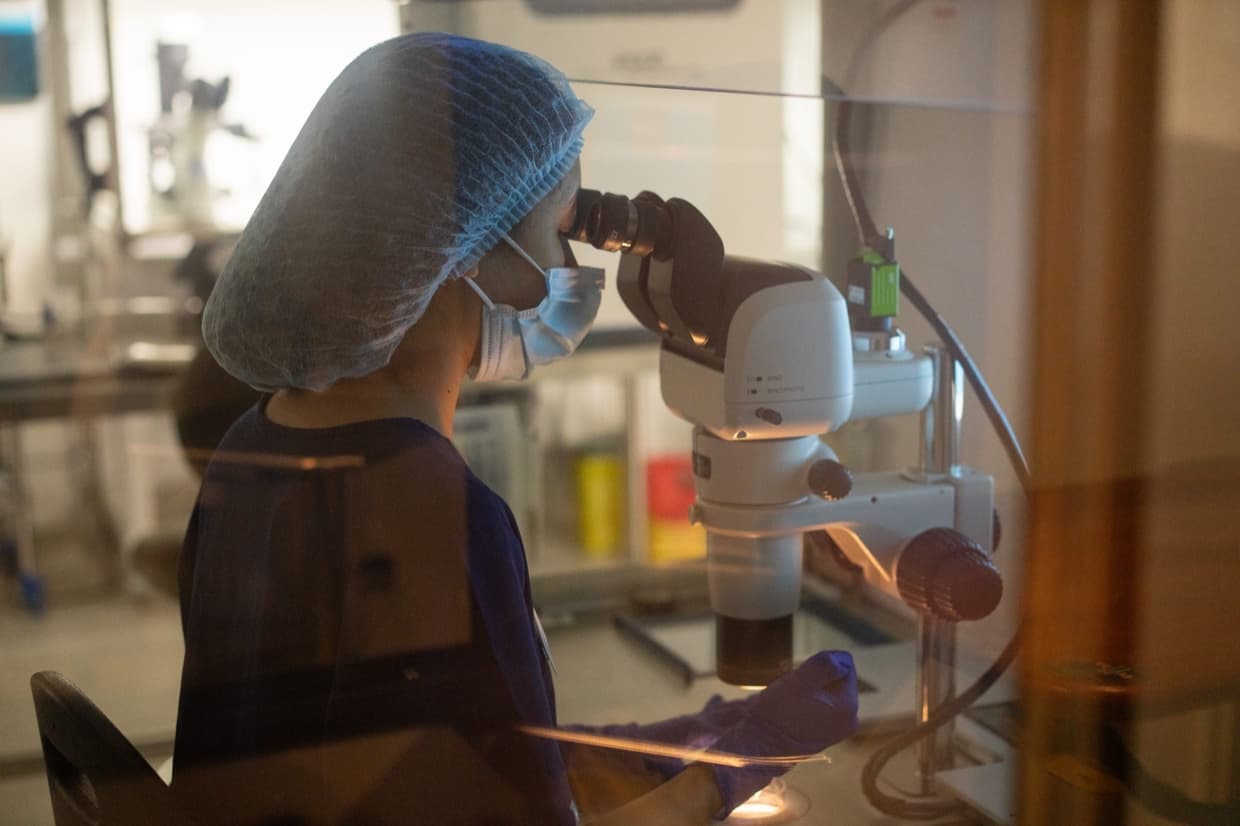 The Twig embryology lab.